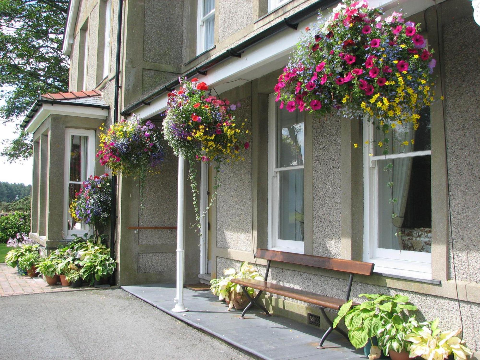 Gwrach Ynys Country Guest House Harlech Bagian luar foto